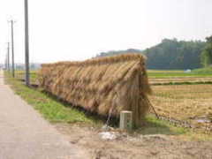 �͂�����