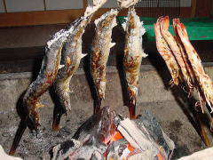 �ċ�-�R-�\�ʂ��Ă���