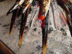 �ċ�-�S-�������|�C���g