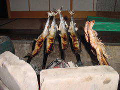 �ċ�-�U-���ʂ��Ă���