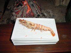 �ċ�-�V-�G�r�̏Ă��オ��