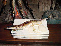 �ċ�-�W-����܂̏Ă��オ��