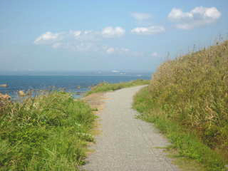 �����Ԃ͑���Ȃ��T�C�N�����O���[�h