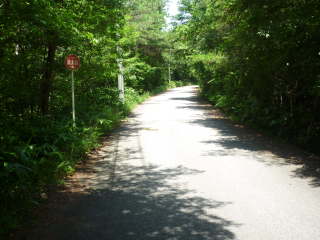 �l�m�ꂸ�S�͍�����ǂ���