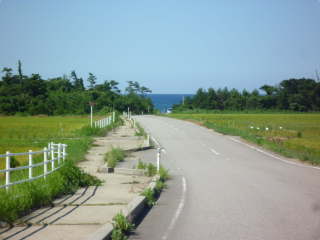 �i�X�C�̌�����͈͂��L�����Ă��܂�