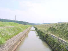 �z�^���̊ӏ܃|�C���g