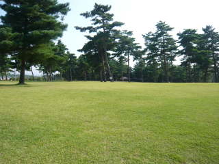 �j���[�X�|�[�c�̋u